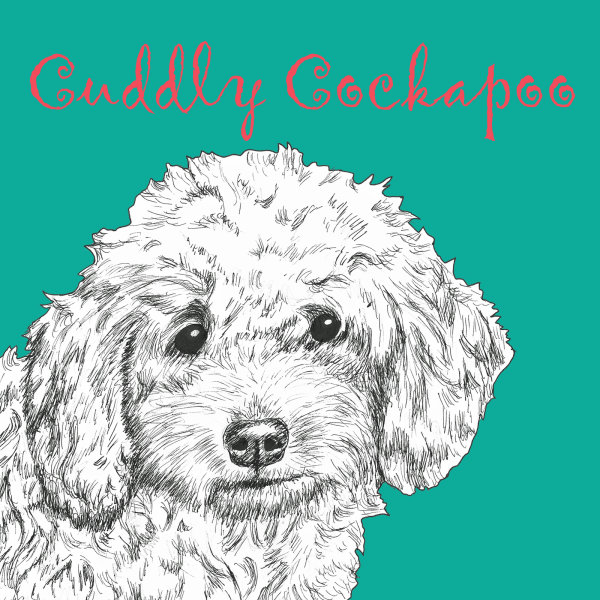 Cuddly Cockapoo Dog Breed Print by Clare Thompson