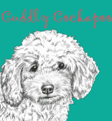 Cuddly Cockapoo Dog Breed Print by Clare Thompson