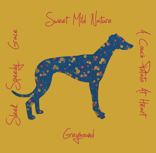Greyhound Dog Breed Traits Print