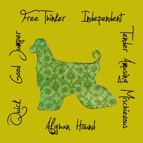 Afghan Hound Dog Breed Traits Print