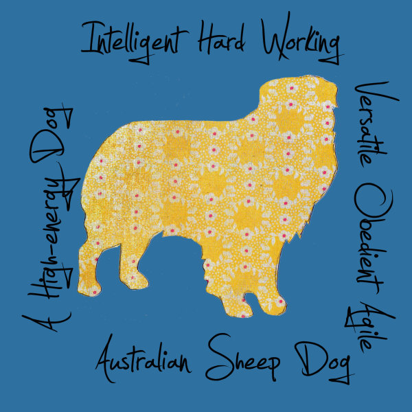 Australian Sheepdog Dog Breed Traits Print