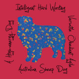 Australian Sheepdog Dog Breed Traits Print