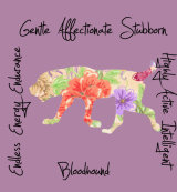 Bloodhound Dog Breed Traits Print