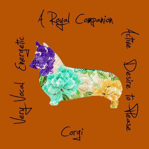 Corgi Dog Breed Traits Print