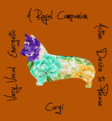 Corgi Dog Breed Traits Print