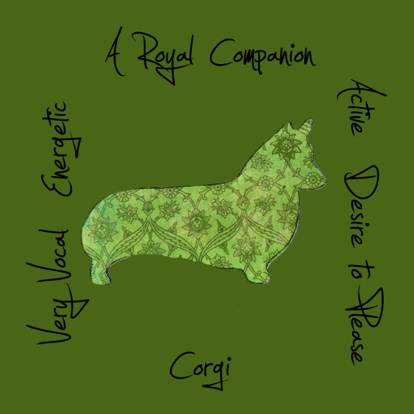 Corgi Dog Breed Traits Print