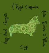 Corgi Dog Breed Traits Print