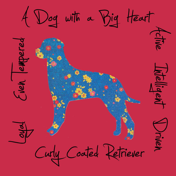 Curly Coated Retriever Dog Breed Traits Print
