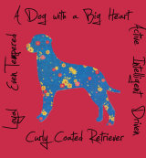 Curly Coated Retriever Dog Breed Traits Print