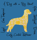 Curly Coated Retriever Dog Breed Traits Print