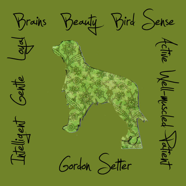 Gordon Setter Dog Breed Traits Print