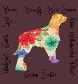 Gordon Setter Dog Breed Traits Print