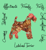 Lakeland Terrier Dog Breed Traits Print