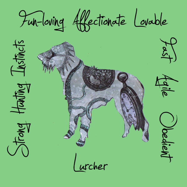 Lurcher Dog Breed Traits Print