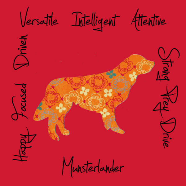 Munsterlander Dog Breed Traits Print