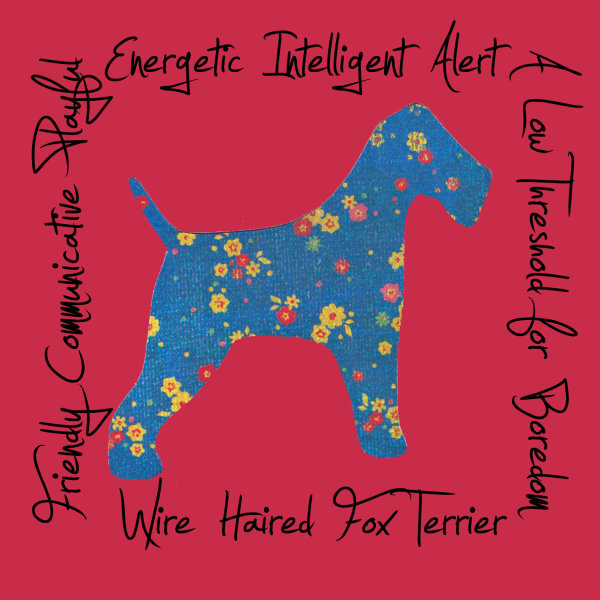 Wire Haired Fox Terrier Dog Breed Traits Print