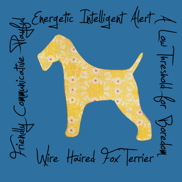 Wire Haired Fox Terrier Dog Breed Traits Print