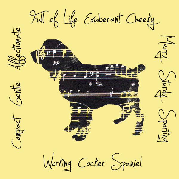 Working Cocker Spaniel Dog Breed Traits Print