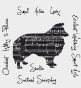 Shetland Sheepdog "Sheltie" Dog Breed Traits Print
