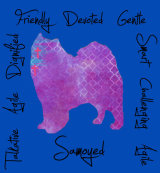 Samoyed Dog Breed Traits Print