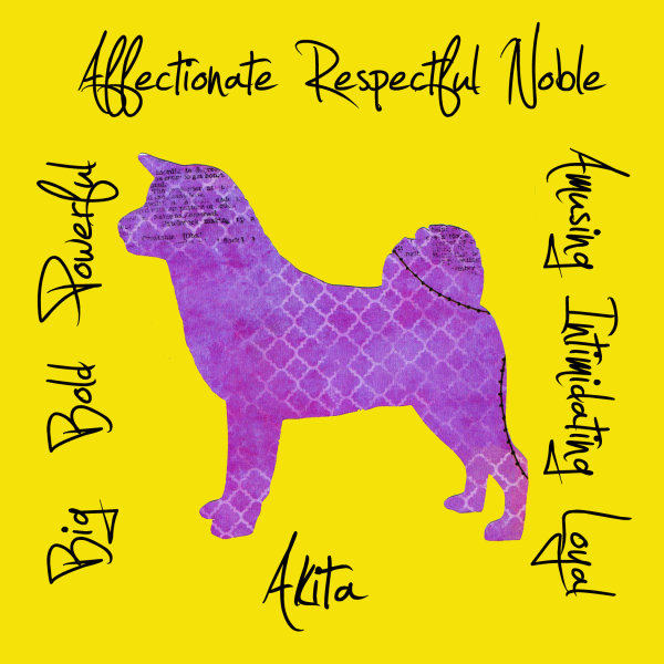 Akita Dog Breed Traits Print