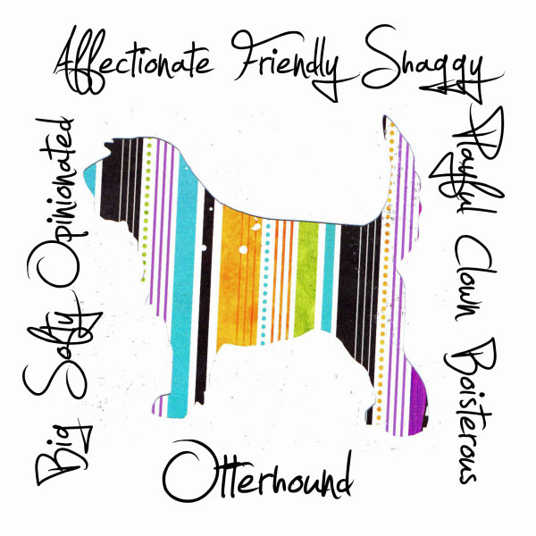 Otterhound Dog Breed Traits Print