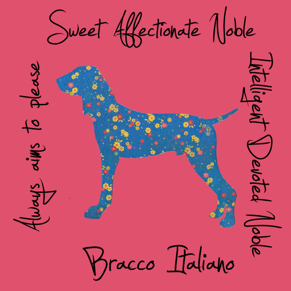 Bracco Italiano Dog Breed Traits Print