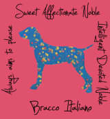 Bracco Italiano Dog Breed Traits Print