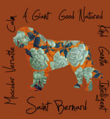 Saint Bernard Dog Breed Traits Print