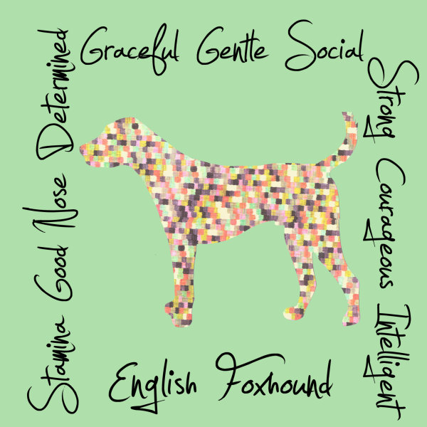 English Foxhound Dog Breed Traits Print