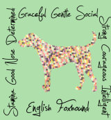 English Foxhound Dog Breed Traits Print
