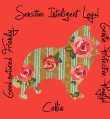 Collie Dog Breed Traits Print