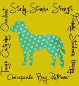 Chesapeake Bay Retriever Dog Breed Traits Print