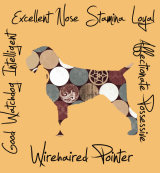 Wirehaired Pointer Dog Breed Traits Print