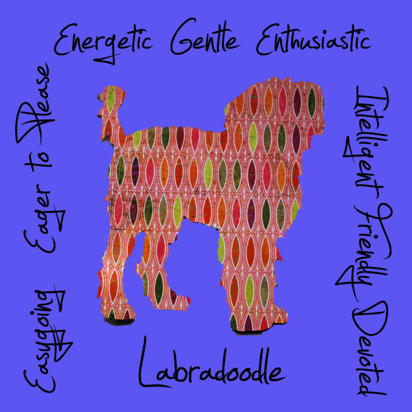 Labradoodle Dog Breed Traits Print