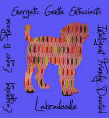 Labradoodle Dog Breed Traits Print