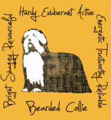 Bearded Collie Dog Breed Traits Print