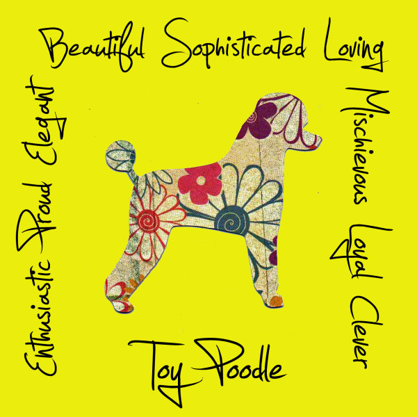 Toy Poodle Dog Breed Traits Print