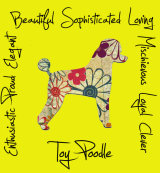 Toy Poodle Dog Breed Traits Print