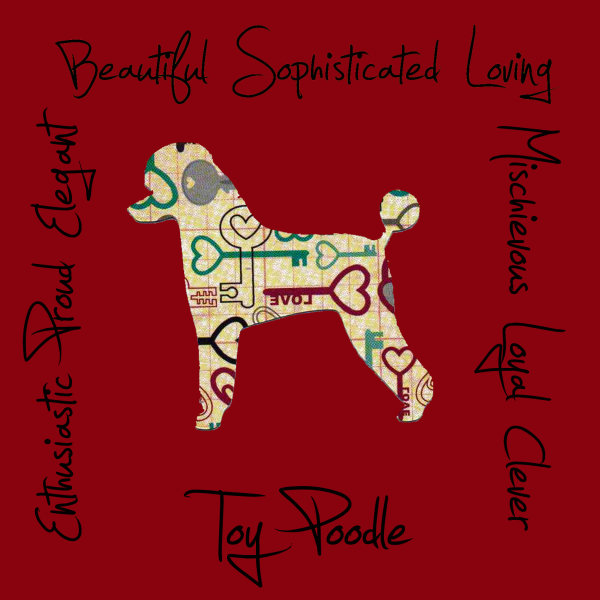 Toy Poodle Dog Breed Traits Print