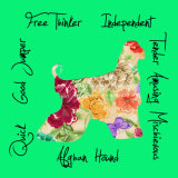 Afghan Hound Dog Breed Traits Print