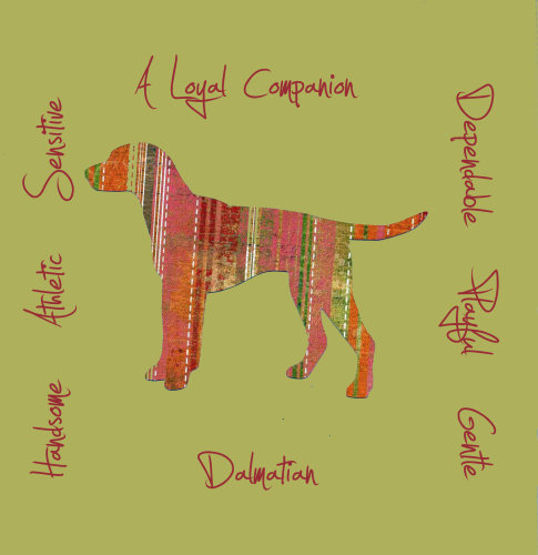 Dalmation Dog Breed Traits Print
