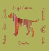 Dalmation Dog Breed Traits Print