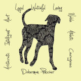 Doberman Pinscher Dog Breed Traits Print