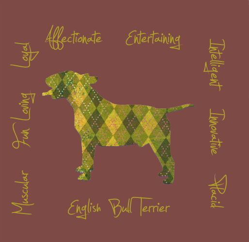 English Bull Terrier Dog Breed Traits Print