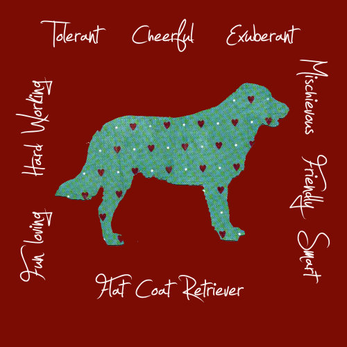 Flat Coat Retriever Dog Breed Traits Print
