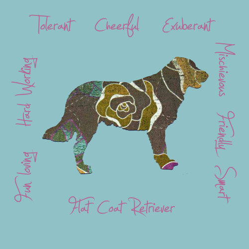 Flat Coat Retriever Dog Breed Traits Print