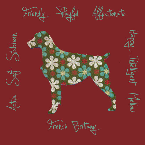 French Brittany Dog Breed Traits Print