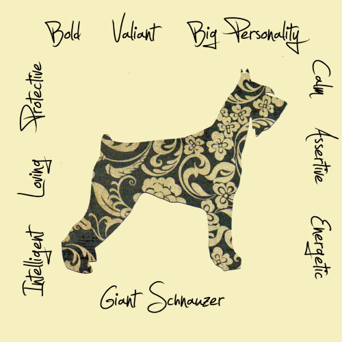 Giant Schnauzer Dog Breed Traits Print