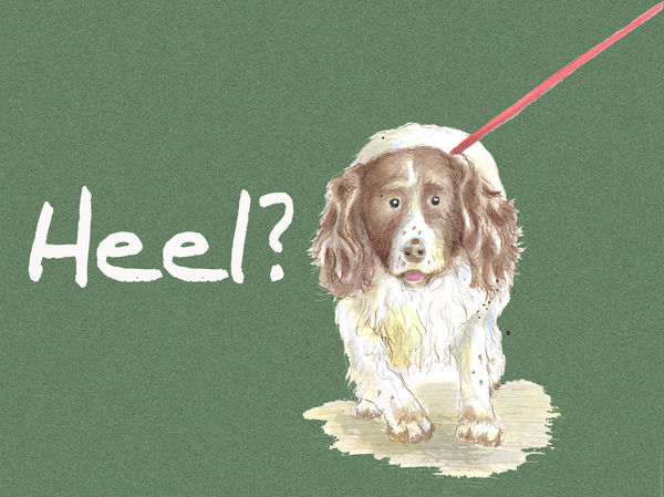 Heel? - Blank Card